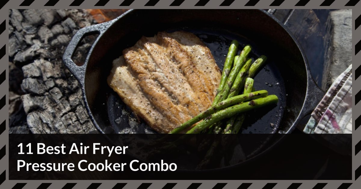 Best Air Fryer Pressure Cooker Combo