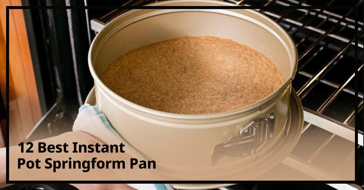 Best Instant Pot Springform Pan