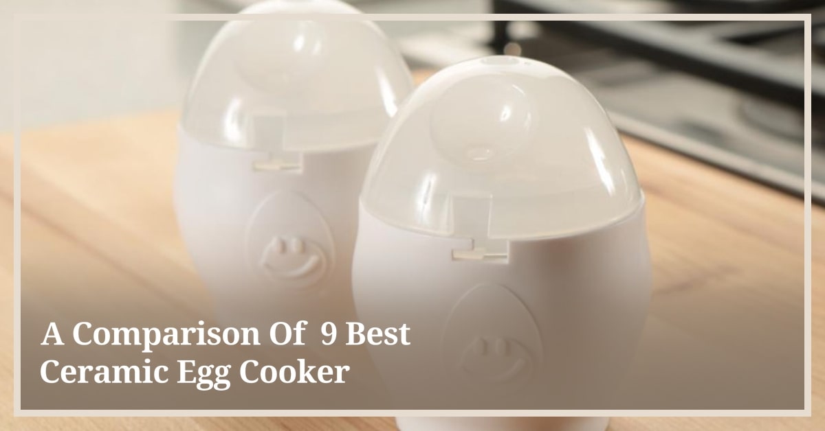 Best Ceramic Egg Cookers